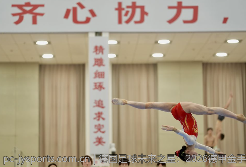 德国足球未来之星：2026德甲金手套得主预测