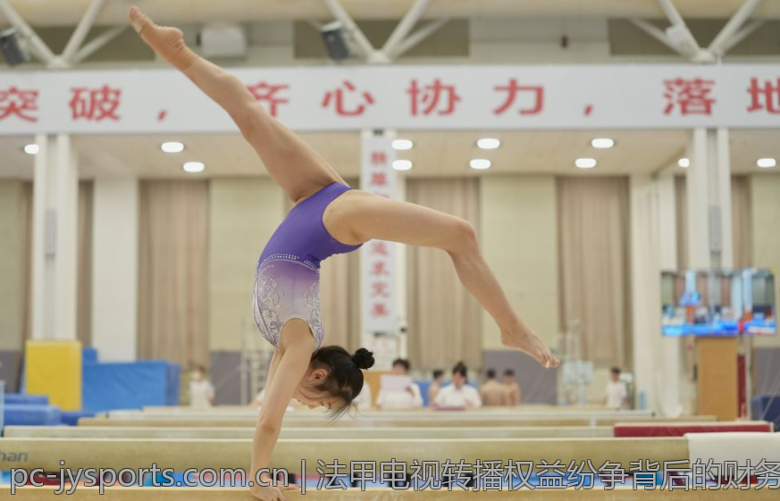 法甲电视转播权益纷争背后的财务危机深度剖析